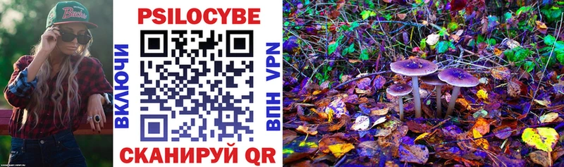 Псилоцибиновые грибы Psilocybe  Тырныауз 
